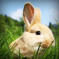 /album/solo-pienso-en-ti-gym-/photolia-a03-jpg/